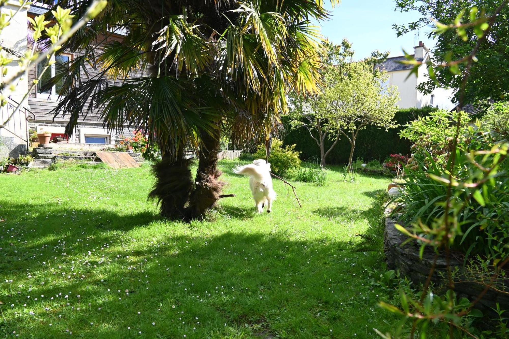 Jardin Madeleine Apartment Morlaix Exterior foto